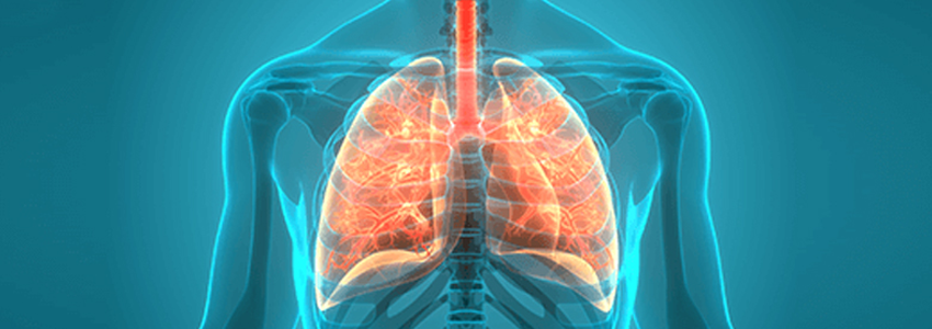 Internal medicine