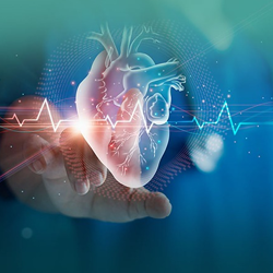 Cardiology