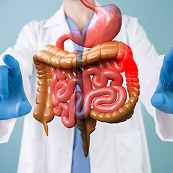 Internal Medicine