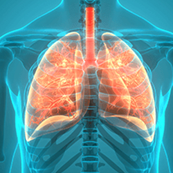 Respiratory Medicine